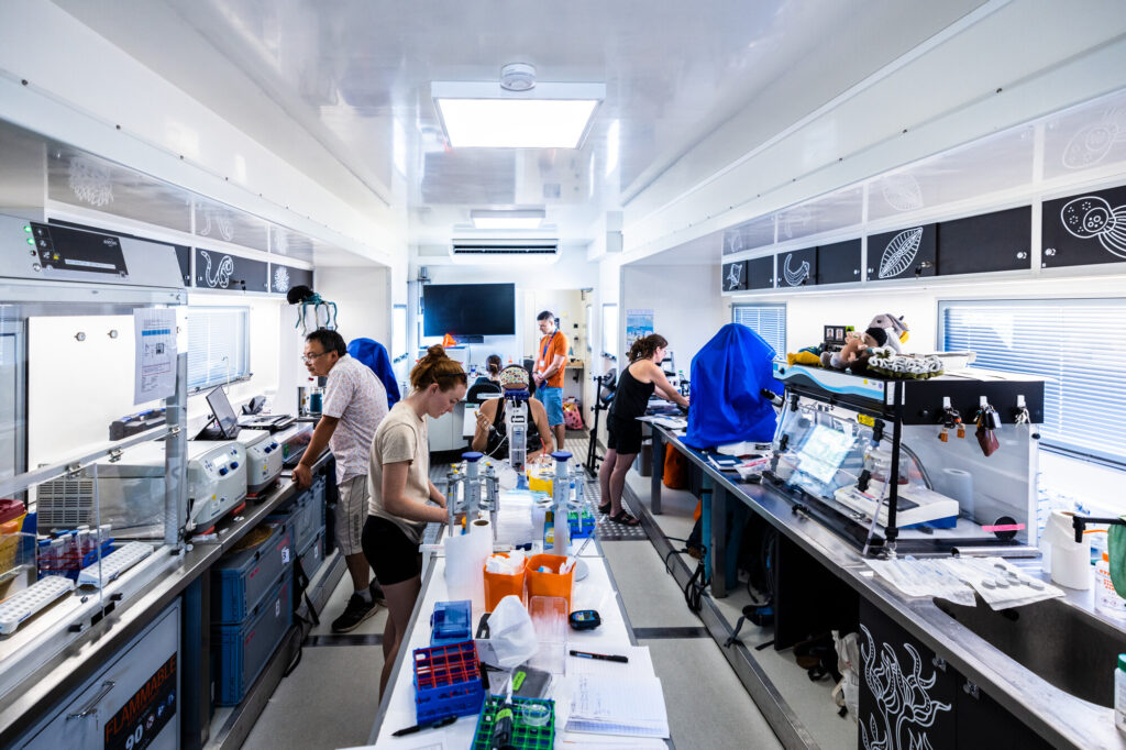 The Tara boat and the EMBL TREC team sampling together in a mobile laboratory in Greece in July, 2024. Copyright © European Molecular Biology Laboratory (EMBL), License CC BY-SA 3.0 IGO, Credit Kinga Siring/EMBL.