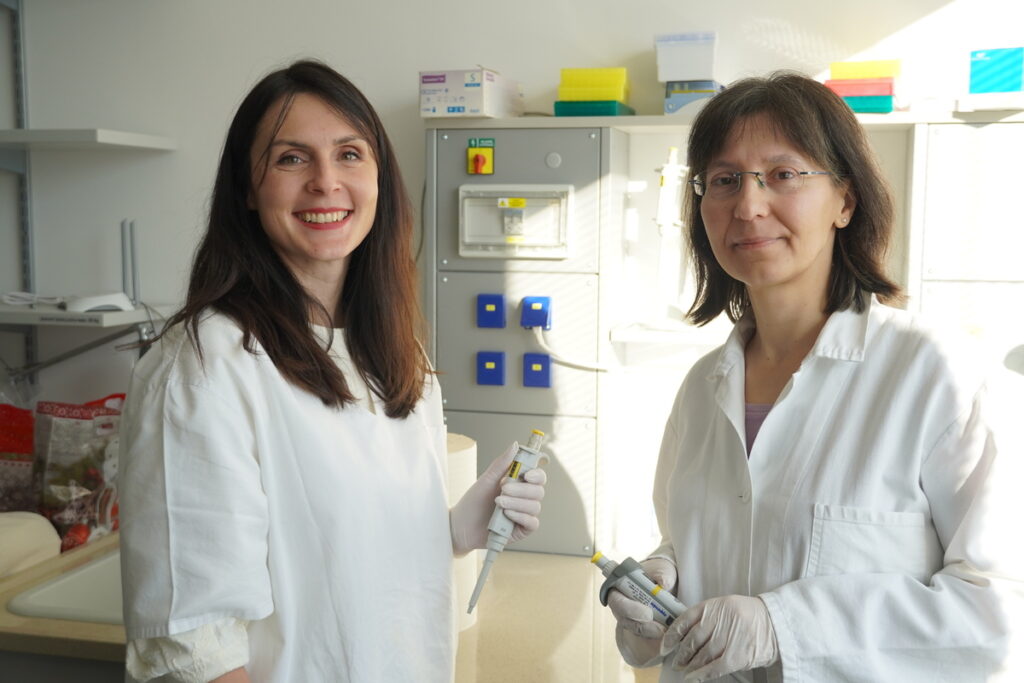 Research group Molecular Endocrinology