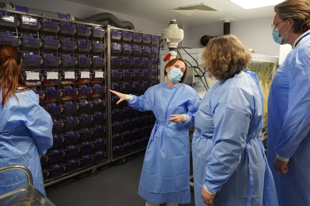 Účastníci a účastníčky stretnutia mali príležitosť zoznámiť sa bližšie s unikátnym výskumom a infraštruktúrou v BMC SAV. Na snímke vedúca oddelenia molekulárnej onkológie Miroslava Matúšková na prehliadke zverinca pre imunodeficientné myši.