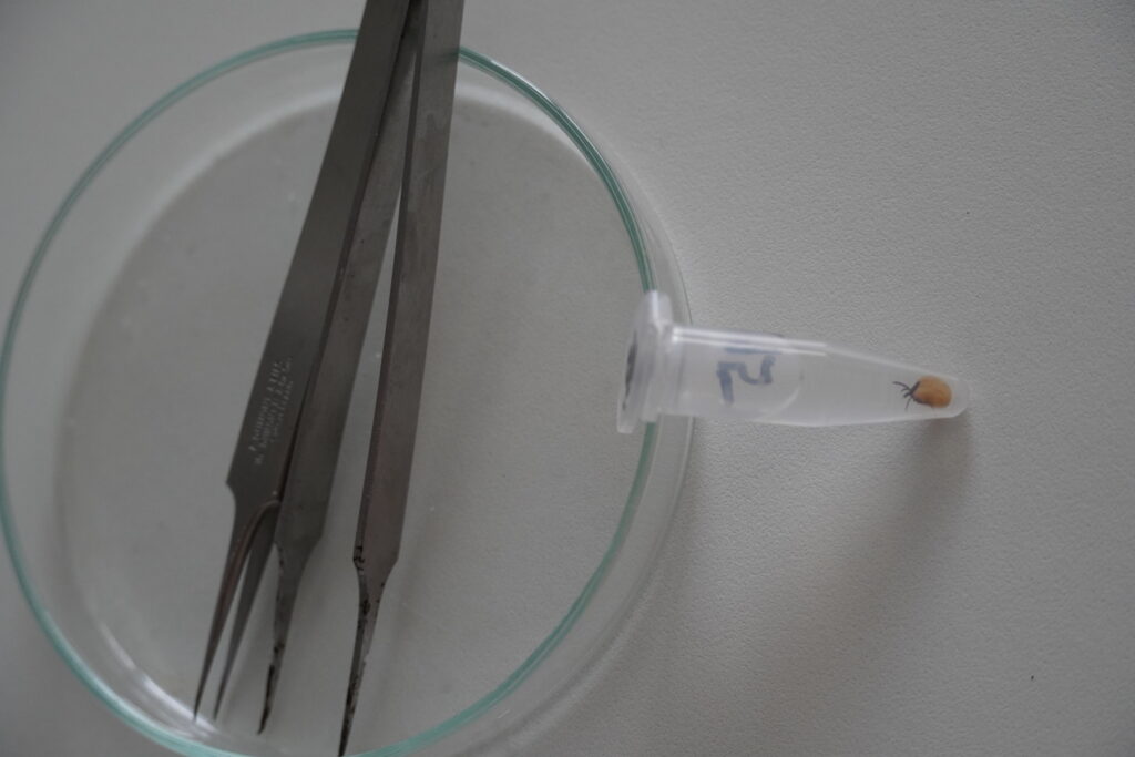 Výkonné laboratórium Národného referenčného centra pre surveillance a laboratórnu diagnostiku rickettsióz