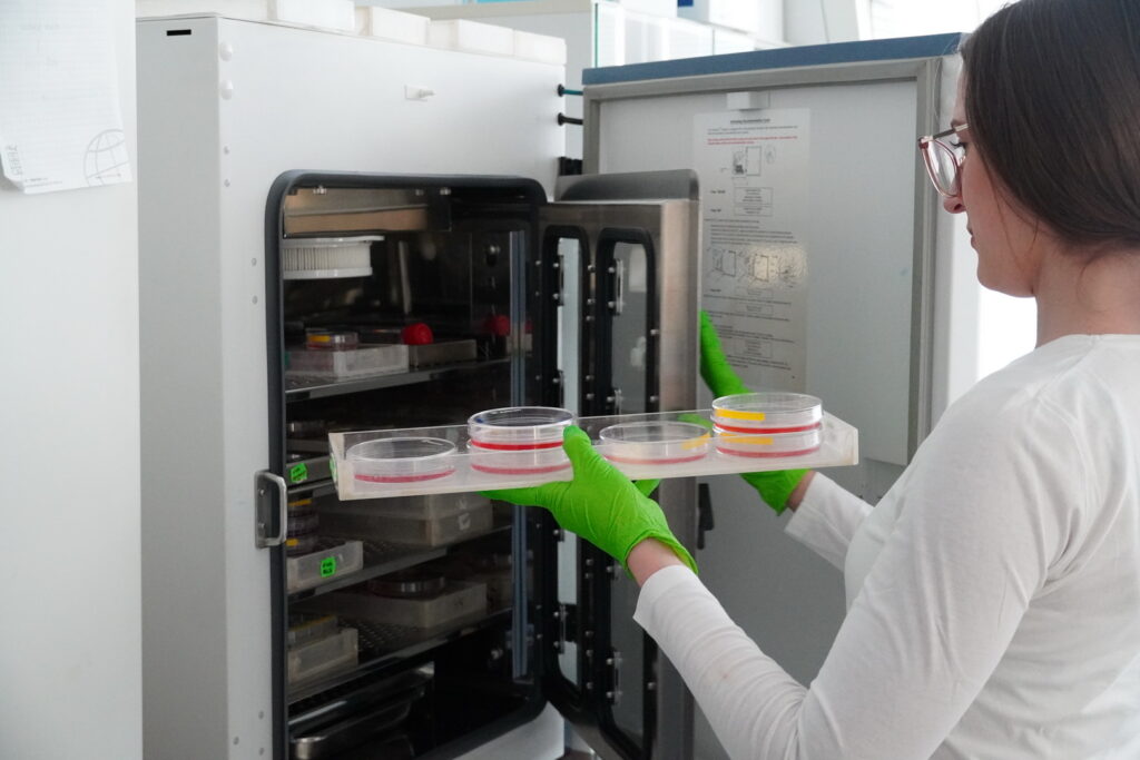 Výskumná skupina Molekulárna onkológia