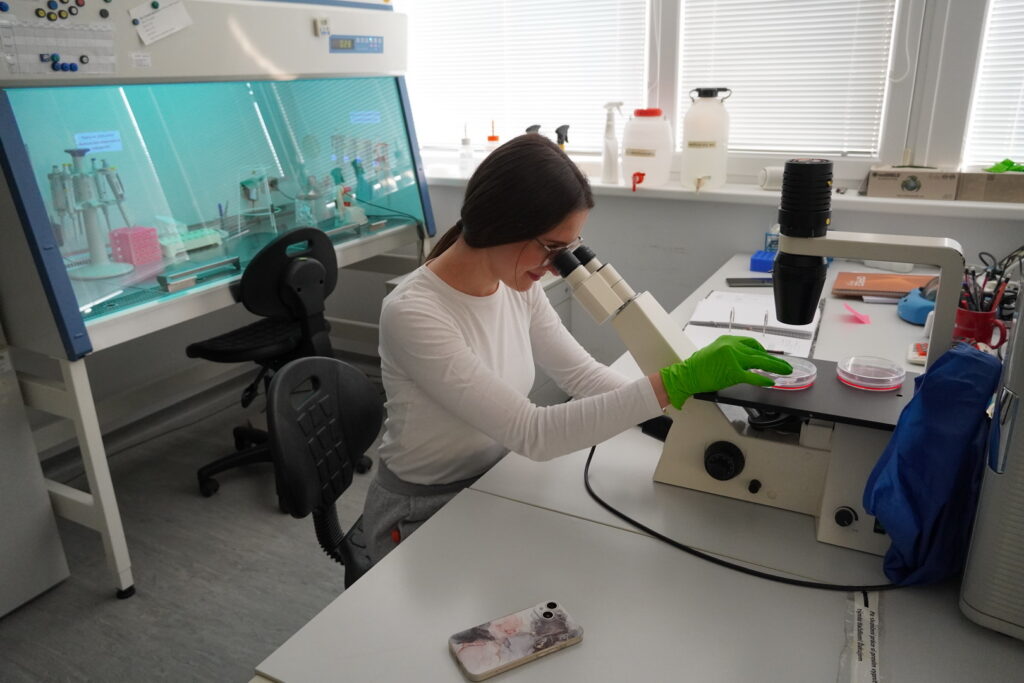 Výskumná skupina Molekulárna onkológia