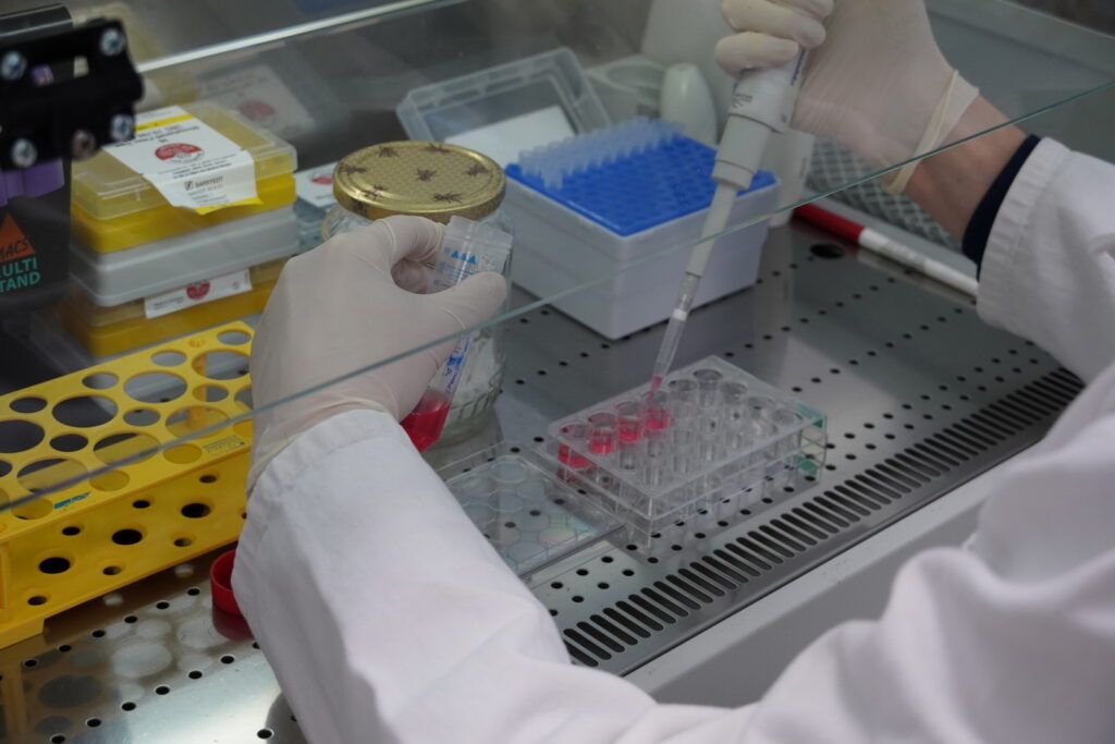 Research group Clinical Research