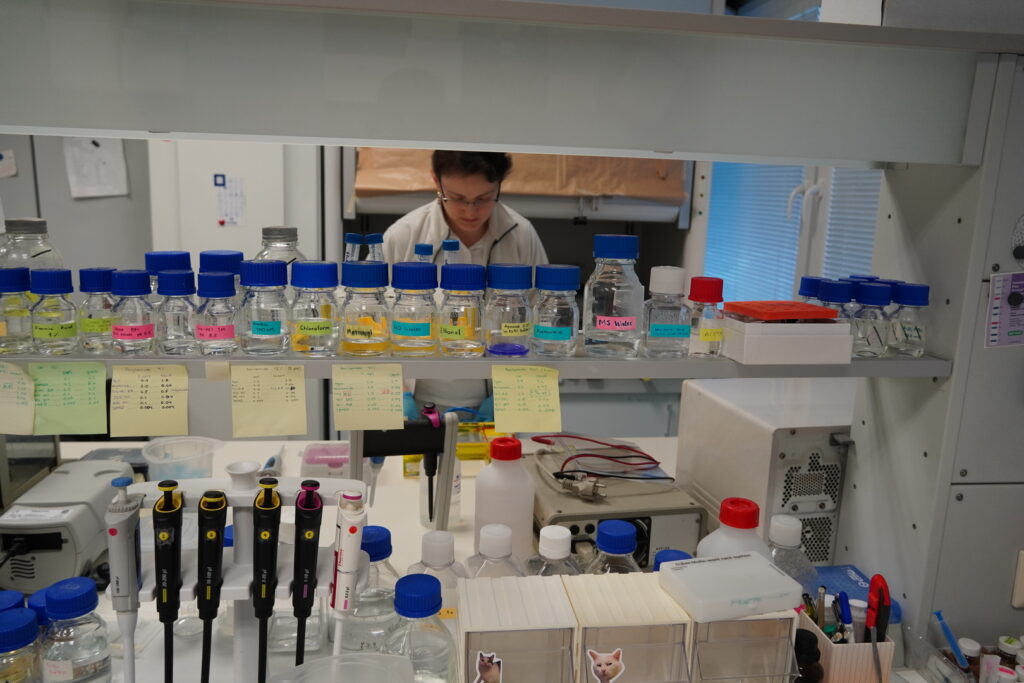 Výskumná skupina Rickettsiológia