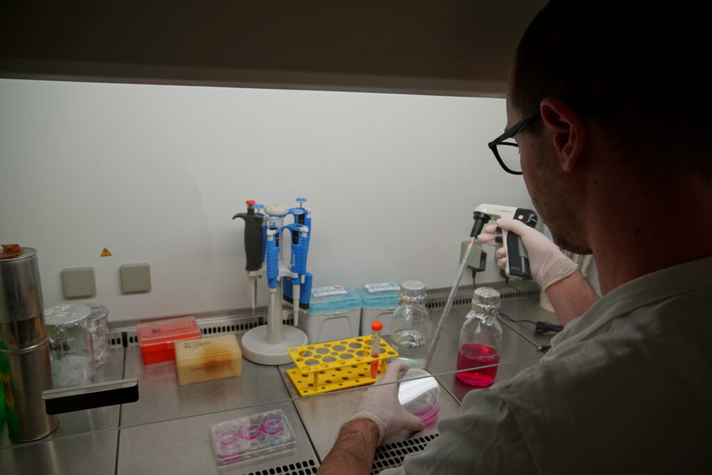 Výskumná skupina Genetika rakoviny