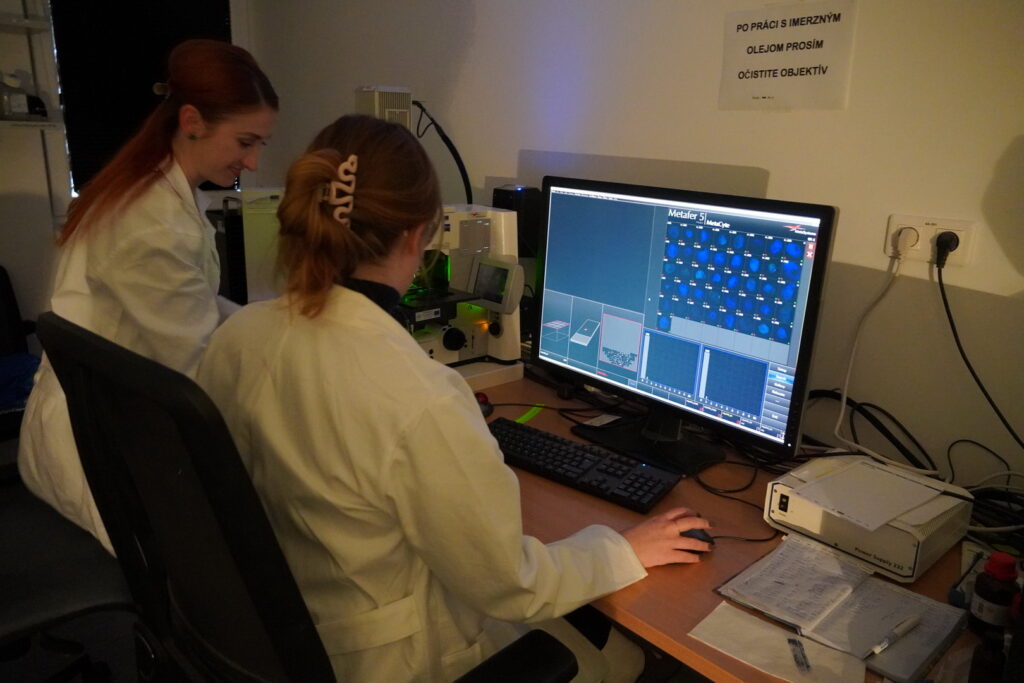 Výskumná skupina Genetika rakoviny