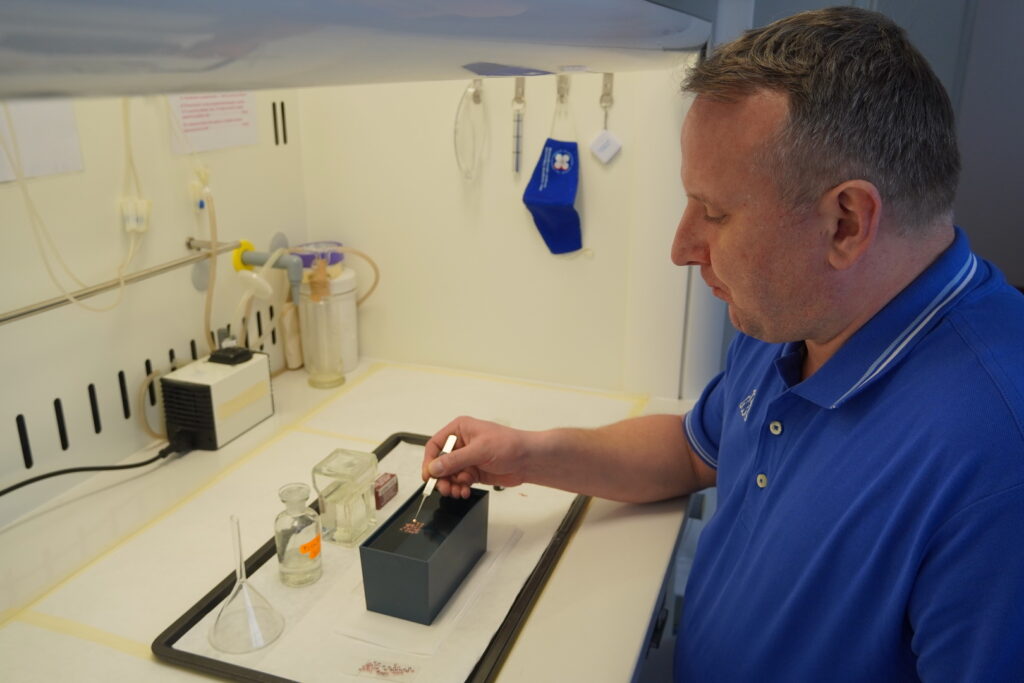 Výskumná skupina Bunková kardiológia