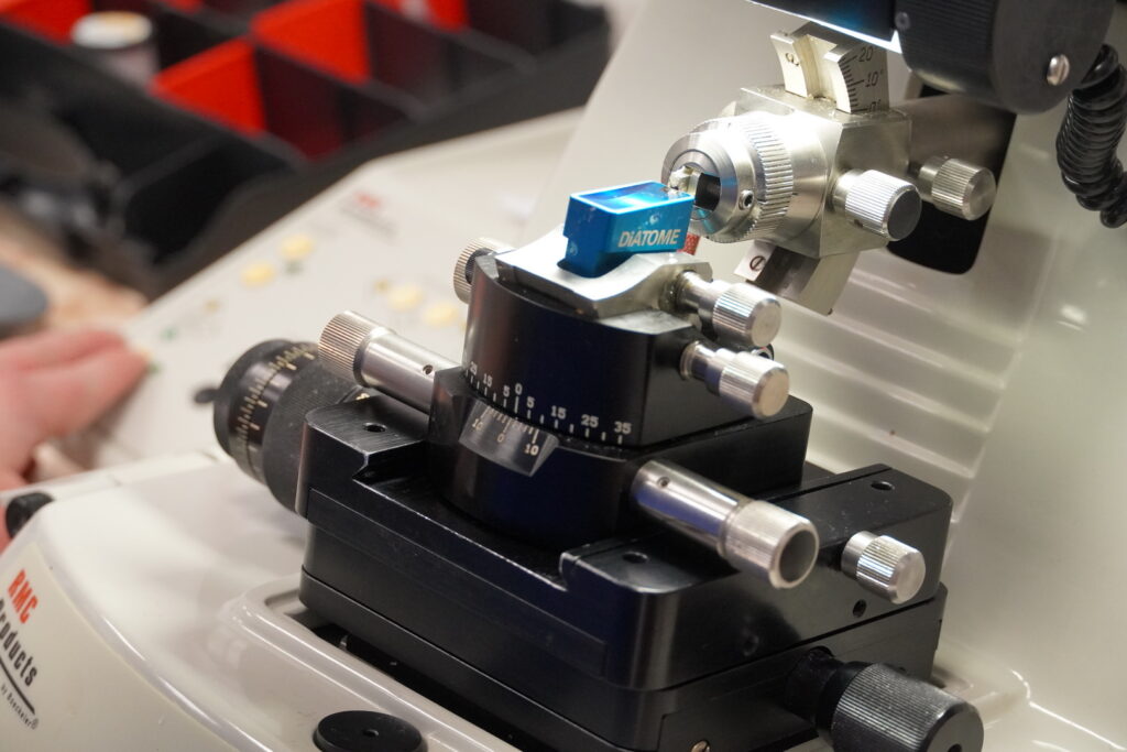 Výskumná skupina Bunková kardiológia