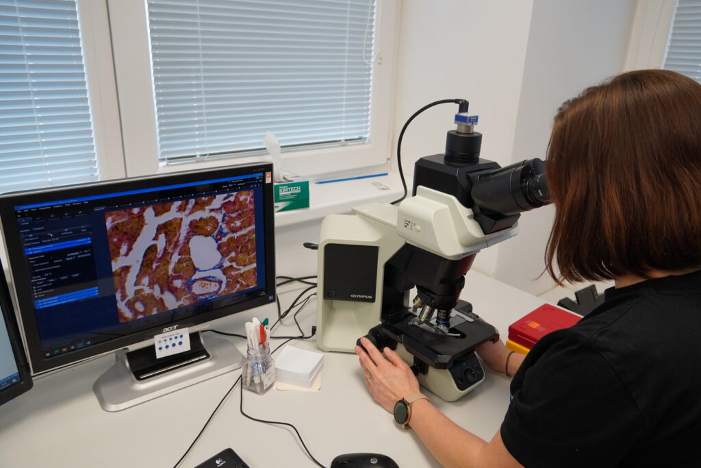 Výskumná skupina Nanobiológia