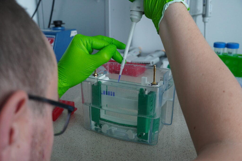 Výskumná skupina Nanobiológia