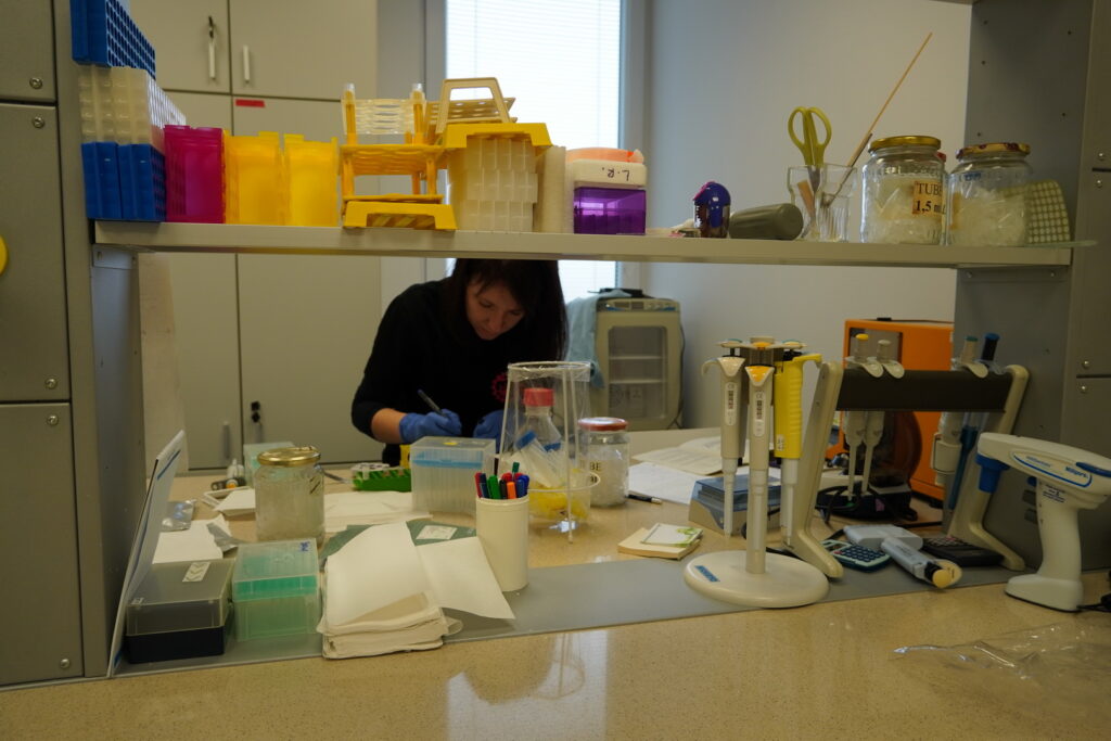 Výskumná skupina Nanobiológia