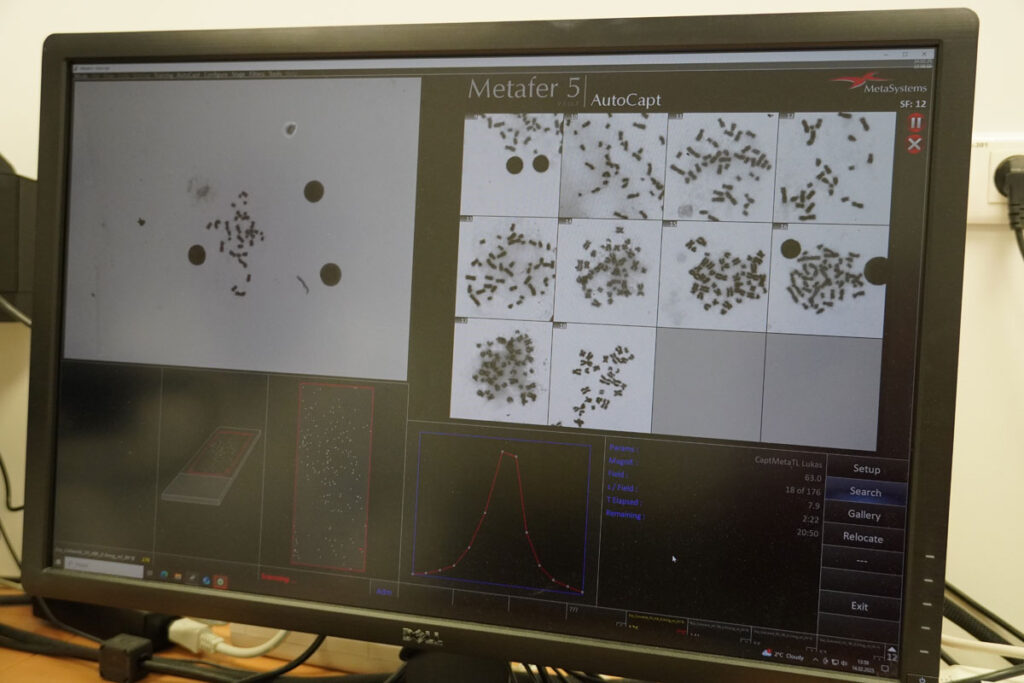 Výskumný tím rádiobiológia.