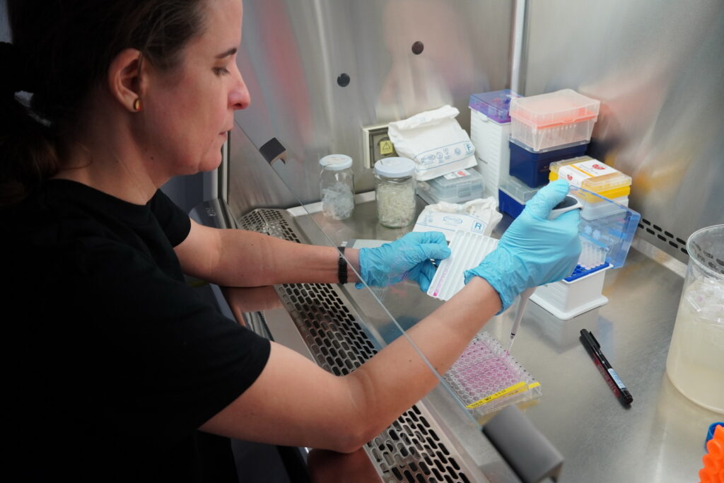 Výskumná skupina Ekológia vírusov