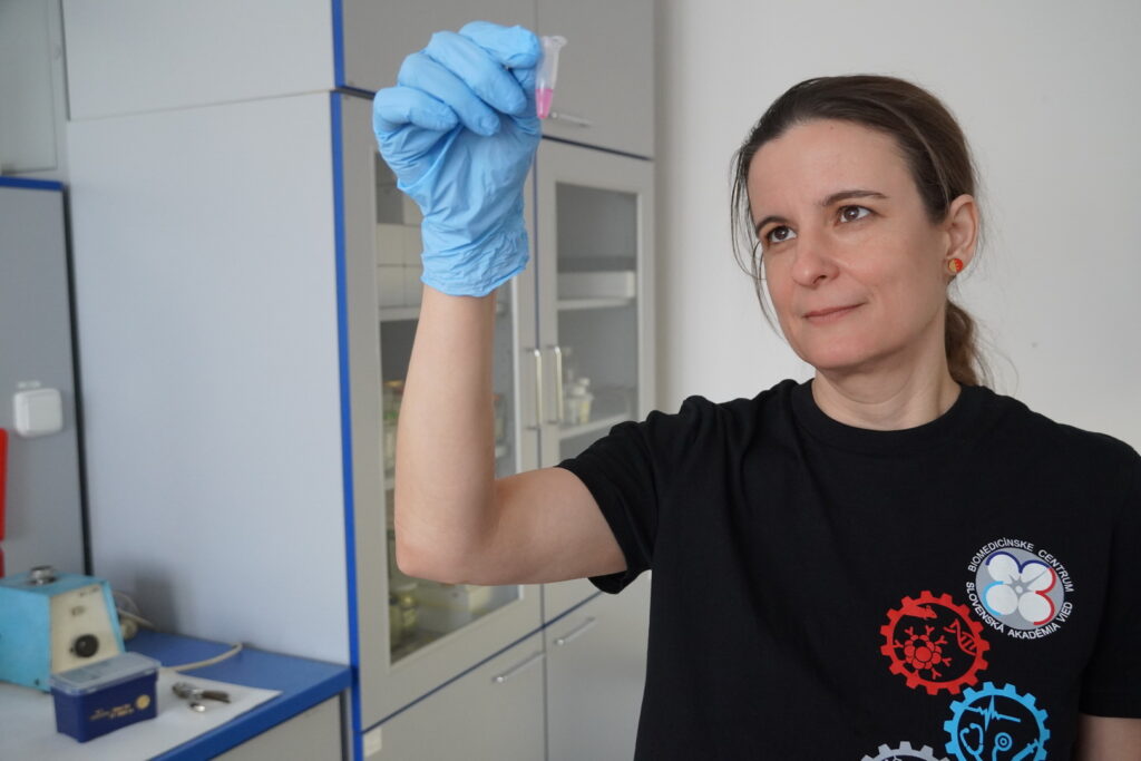 Výskumná skupina Ekológia vírusov