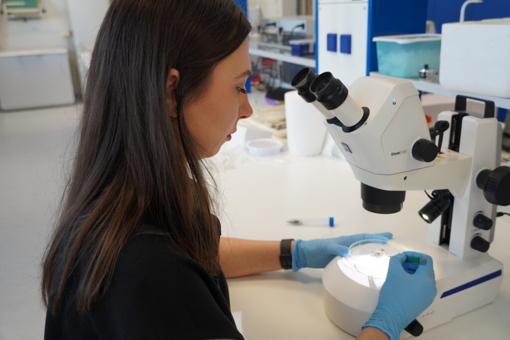 Výskumná skupina Ekológia vírusov