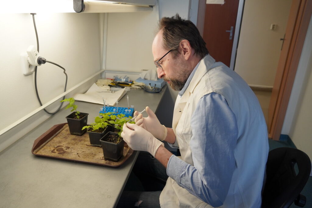 Výskumná skupina Ekológia vírusov