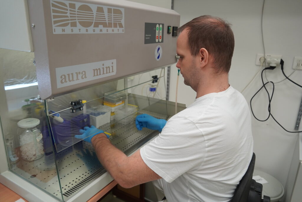 Výskumná skupina Vývoj nervovej sústavy