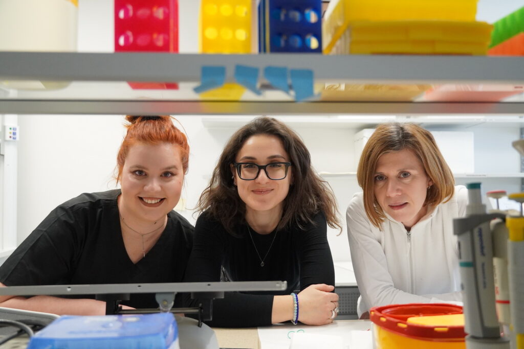 Výskumná skupina Vývoj nervovej sústavy