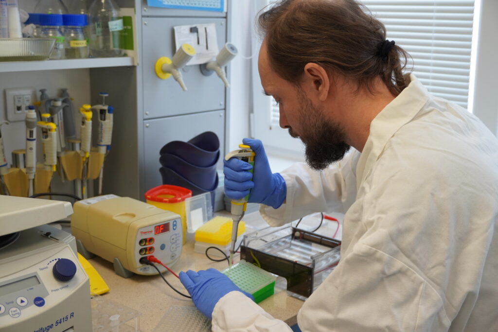 Výskumná skupina Vývoj nervovej sústavy