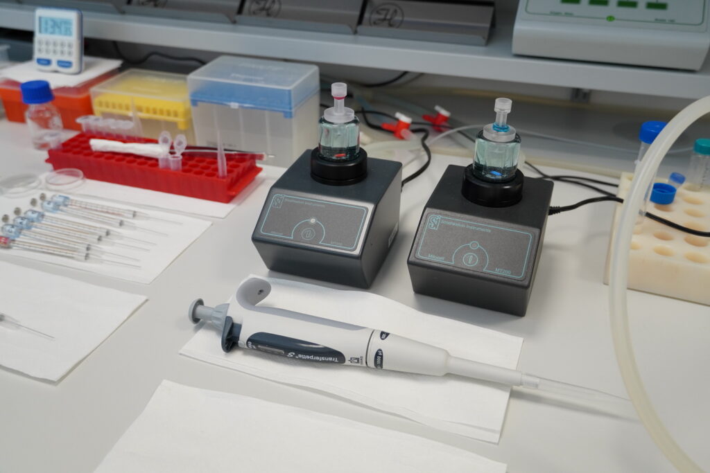 Research group Experimental Physiology of Hydrogene Sulfide
