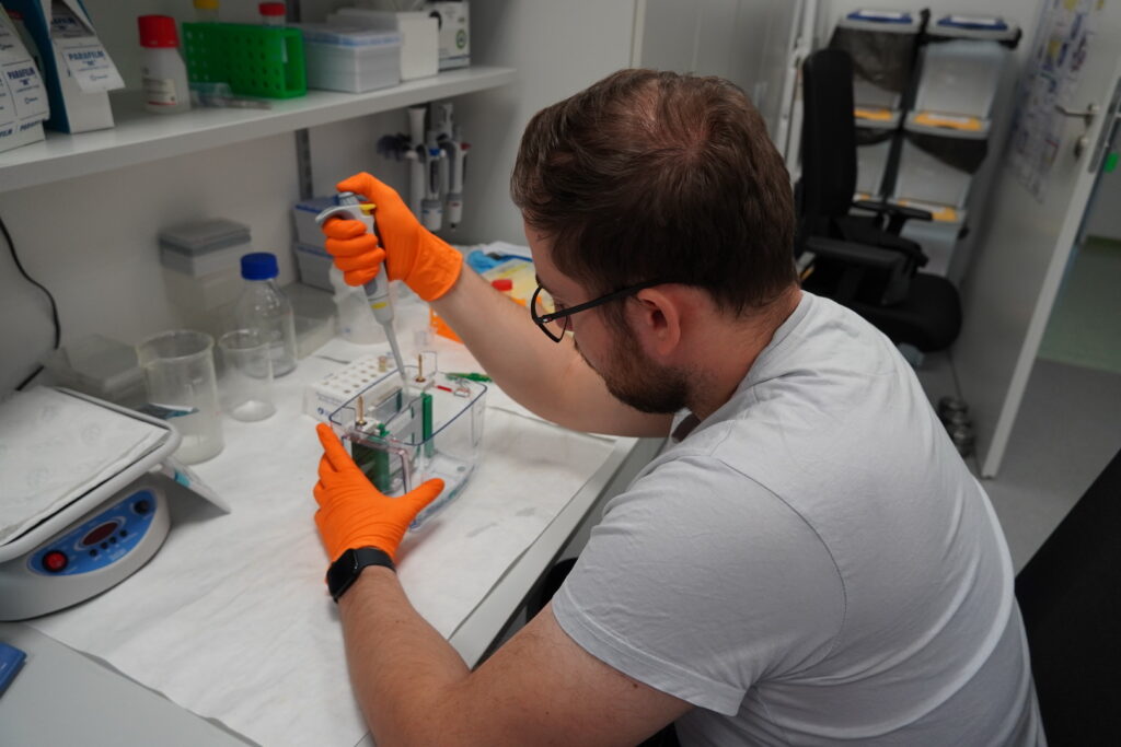 Research group Experimental Physiology of Hydrogene Sulfide