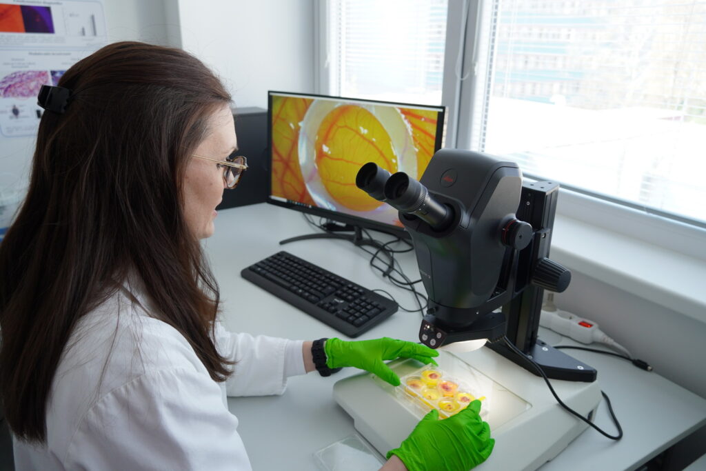 Výskumná skupina Molekulárna onkológia