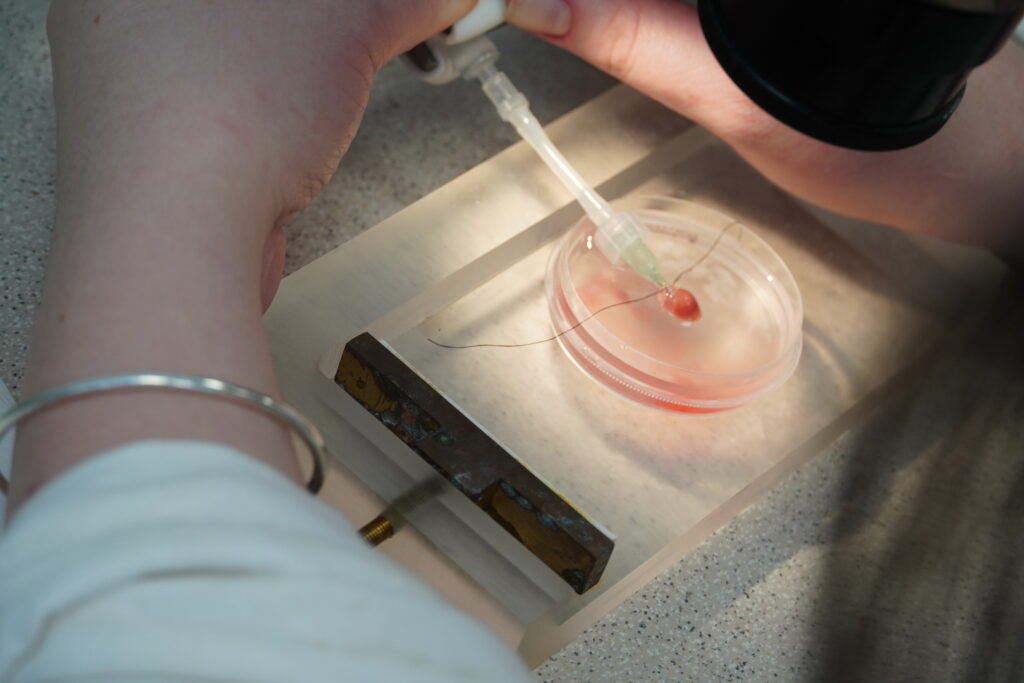 Výskumná skupina Bunková kardiológia