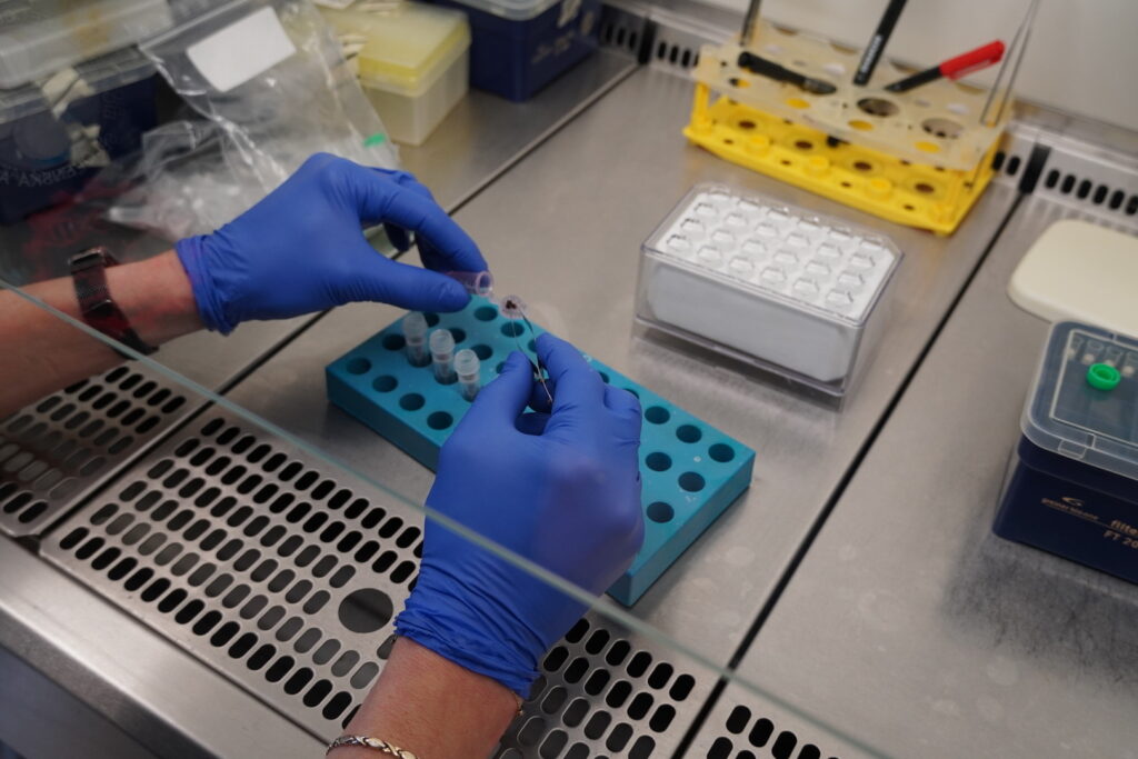 Výskumná skupina Rickettsiológia