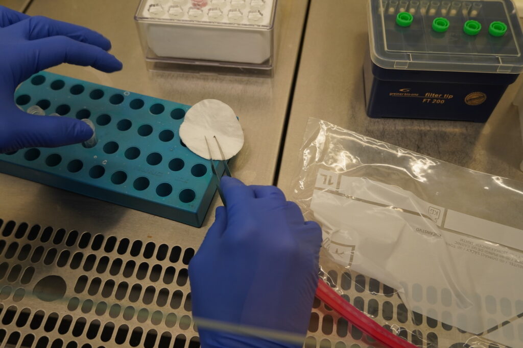 Výkonné laboratórium Národného referenčného centra pre surveillance a laboratórnu diagnostiku rickettsióz