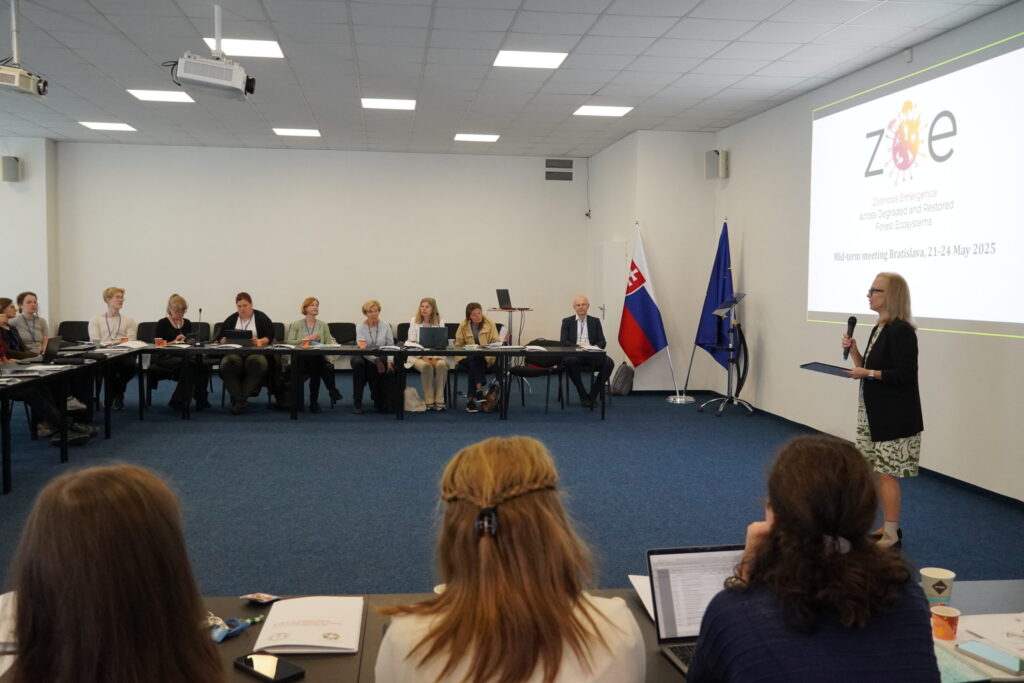 ZOE project meeting in Bratislava.
