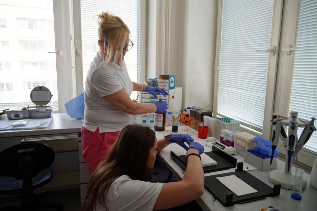 Výskumný tím Ischémia mozgu