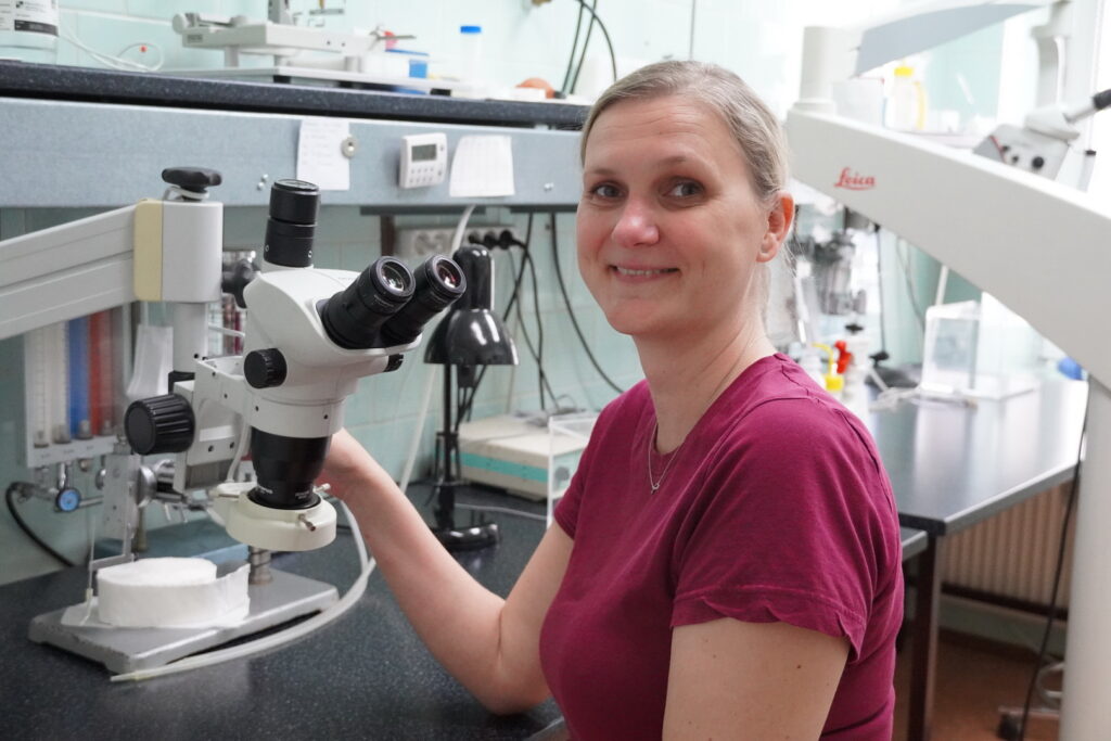 Výskumný tím Ischémia mozgu