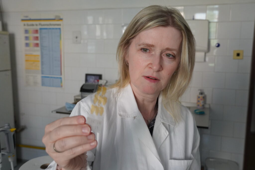 Výskumná skupina Regeneračná medicína a bunková terapia