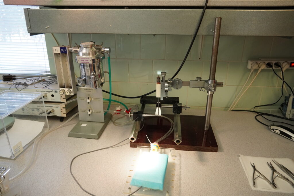 Výskumný tím Traumatické poranenie miechy