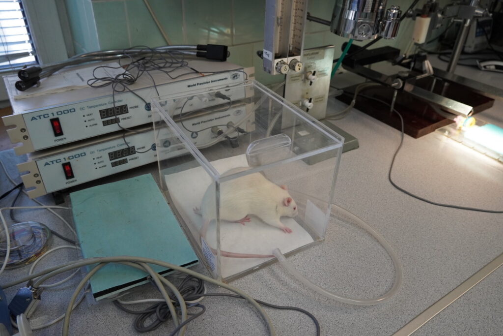 Výskumný tím Traumatické poranenie miechy