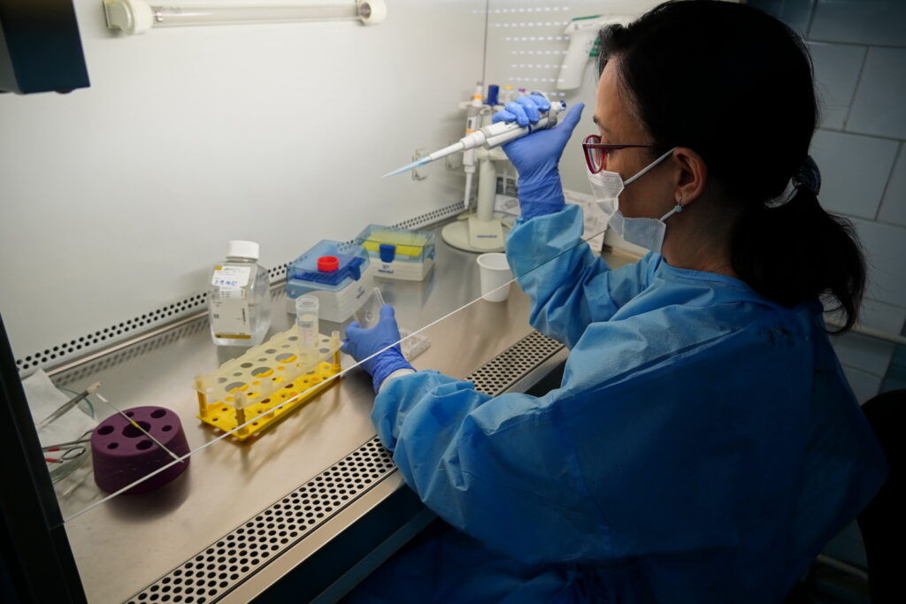 Výskumná skupina Regeneračná medicína a bunková terapia