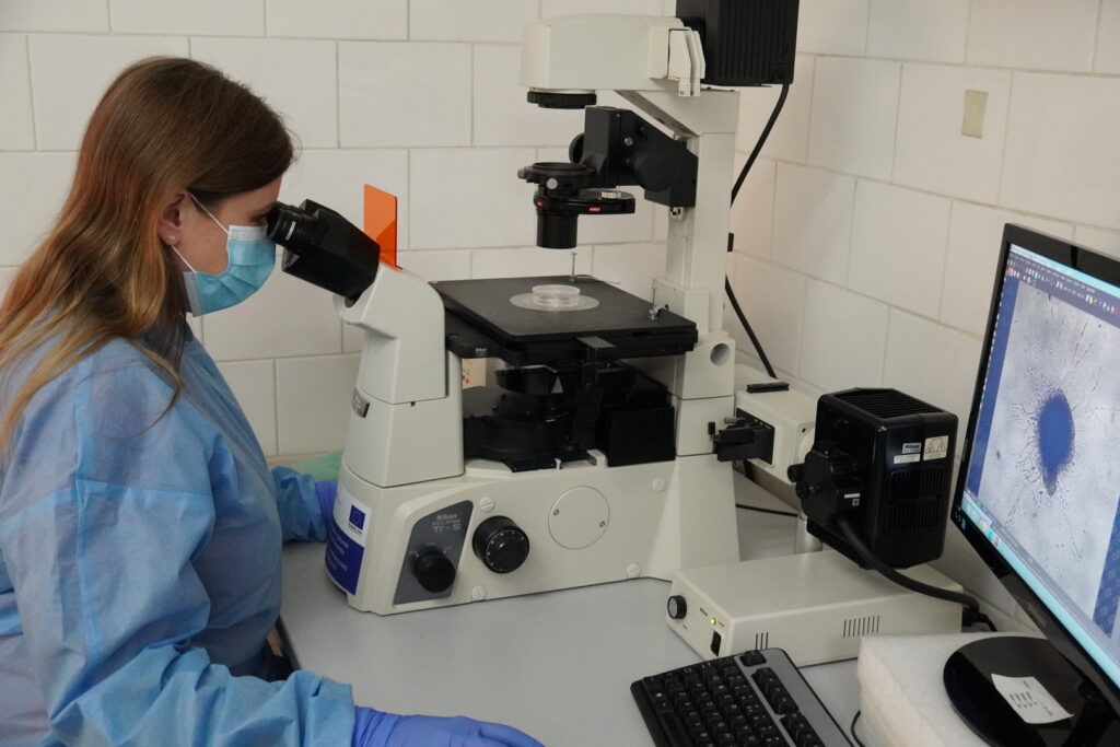 Výskumná skupina Regeneračná medicína a bunková terapia