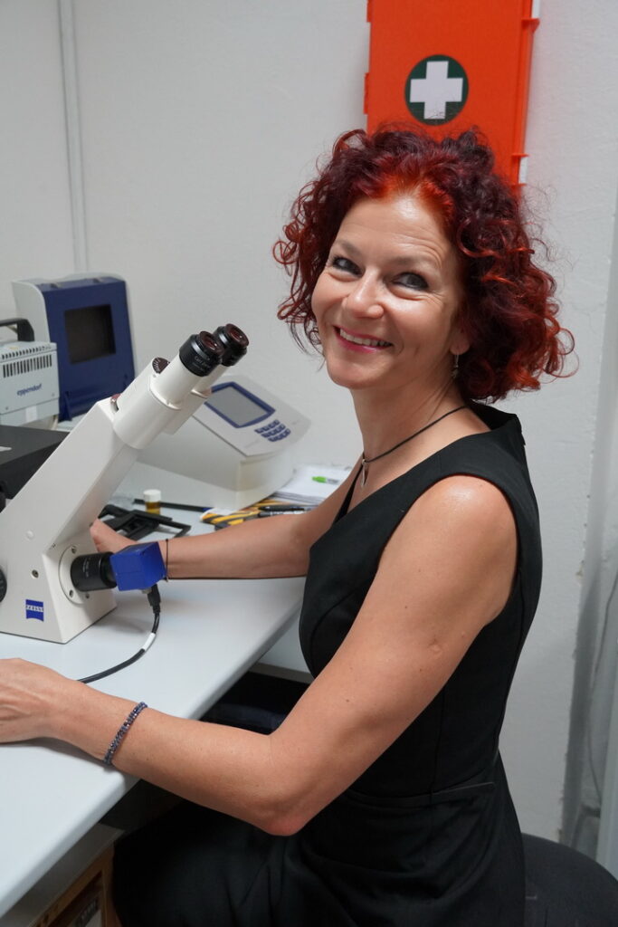 Výskumná skupina Nádorová biológia