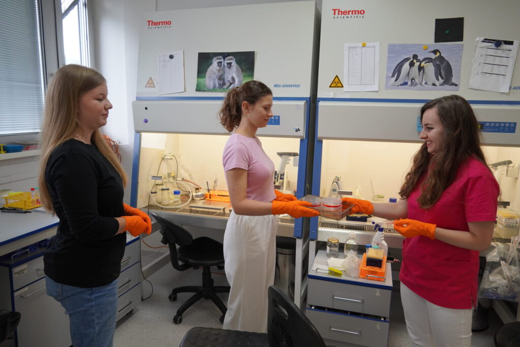 Stážistky pri práci v laboratóriu.