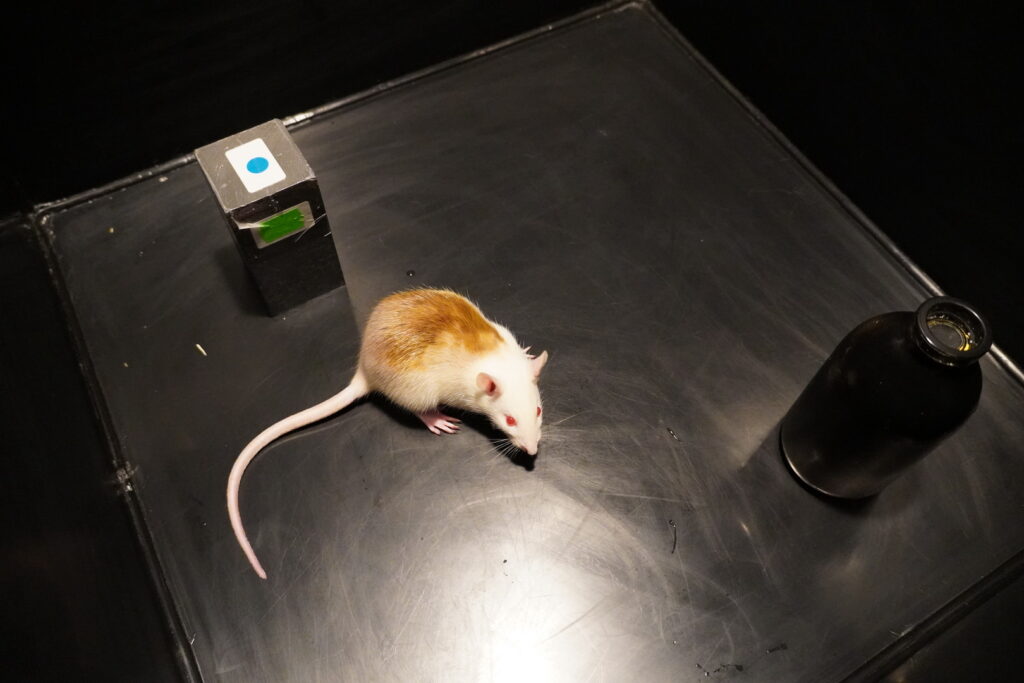 Výskumná skupina Farmakologická neuroendokrinológia