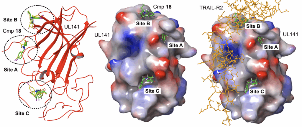 Ilustračný obrázok k výskumu tímu Ivany ...