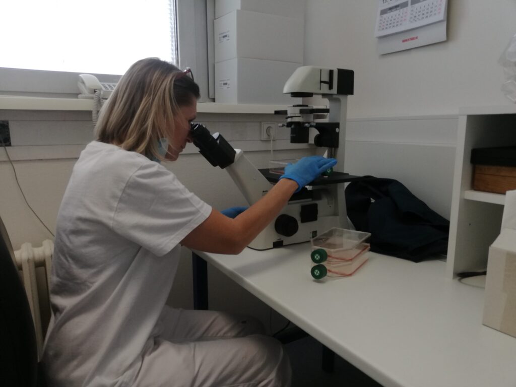 Práca v laboratóriu.