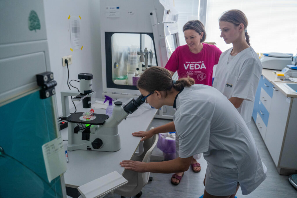 Letná škola mladých vedcov 2024, práca s mikroskopom.