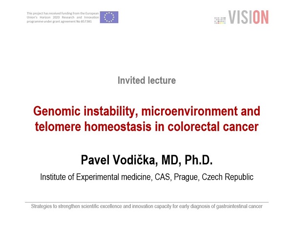 Plagát k podujatiu projektu VISION. Info...