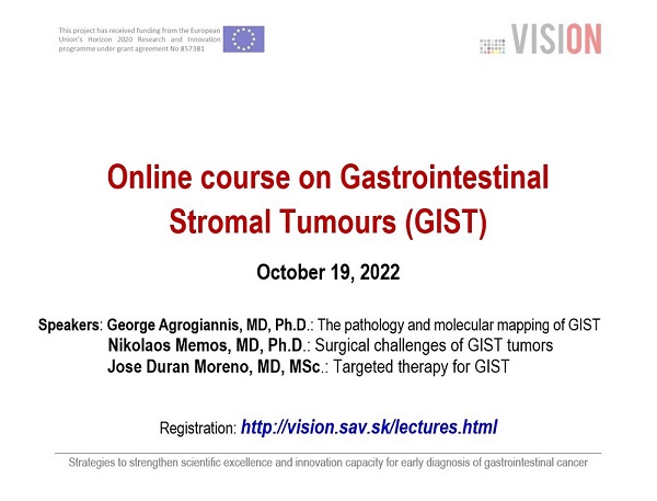 Plagát k podujatiu projektu VISION. Info...