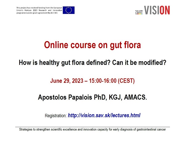 Plagát k podujatiu projektu VISION. Info...