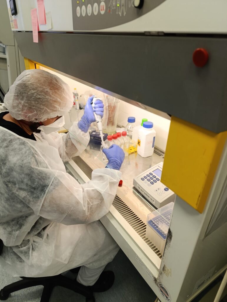 Práca v BSL3 laboratóriu.