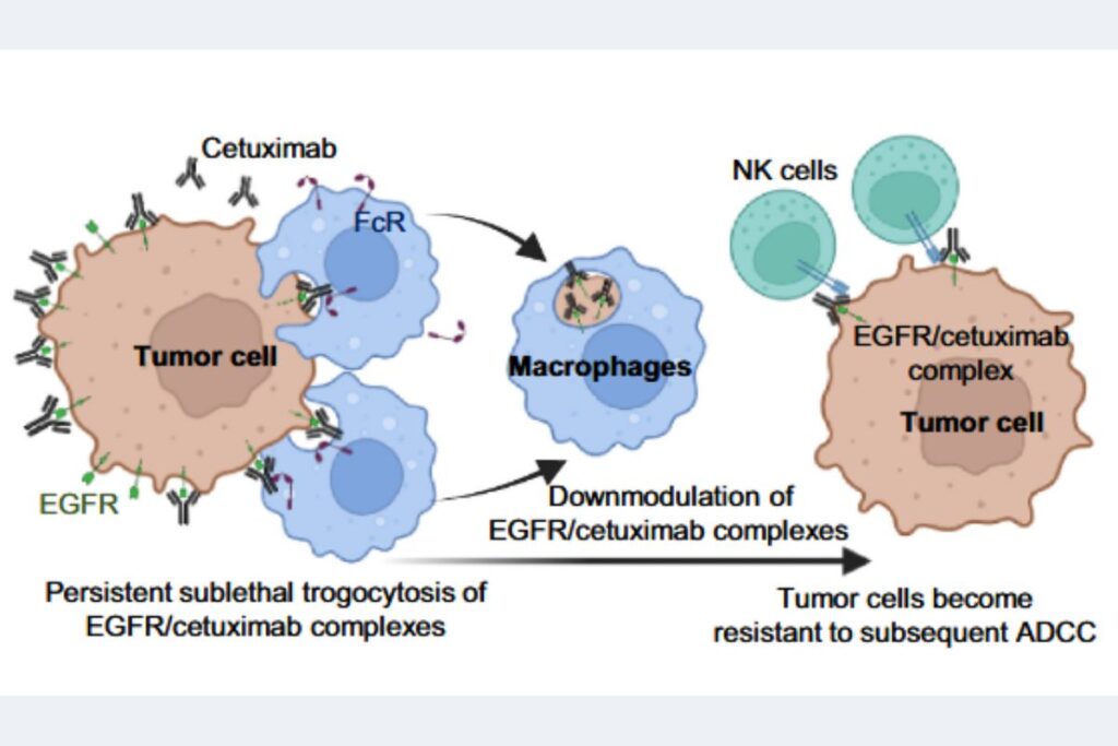 Invitation to a Lecture by a World-Renow...