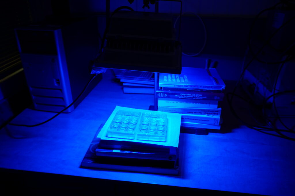 Výskumná skupina Rickettsiológia