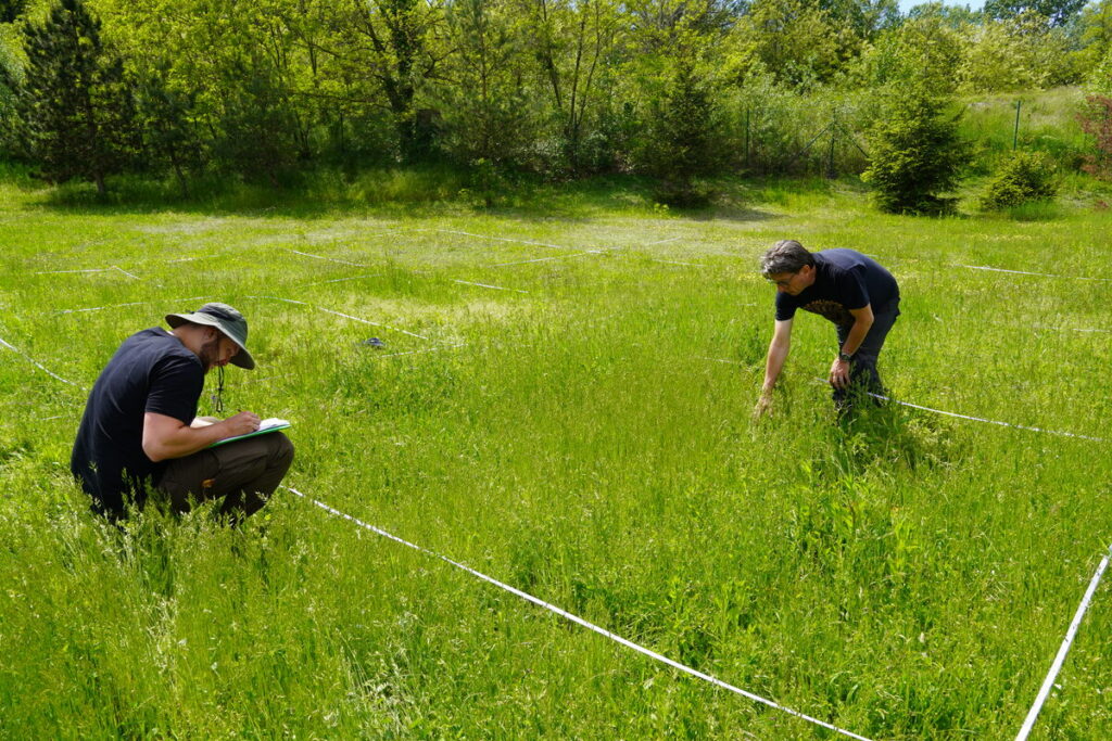 Nemeckí botanici v Bratislave skúmali biodiverzitu rastlín.